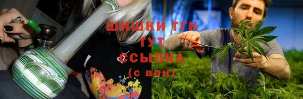 соль ск Верхний Тагил